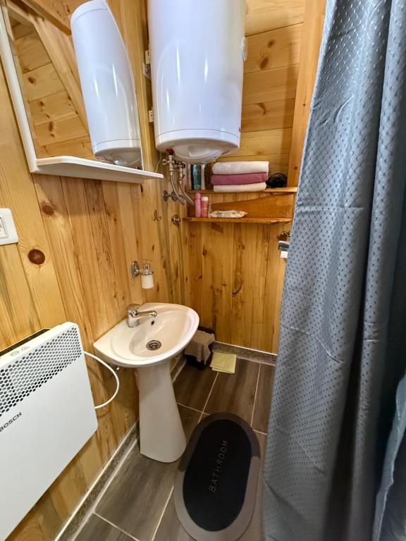 Cottage Bumblebee - 17