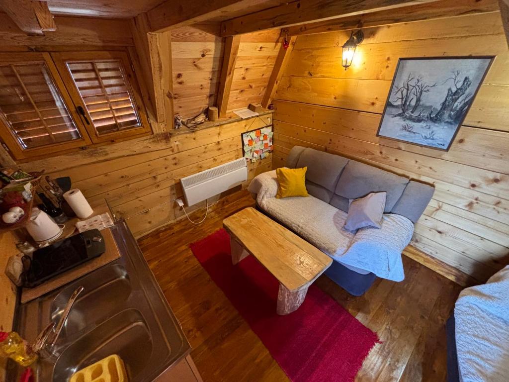 Cottage Bumblebee - 14