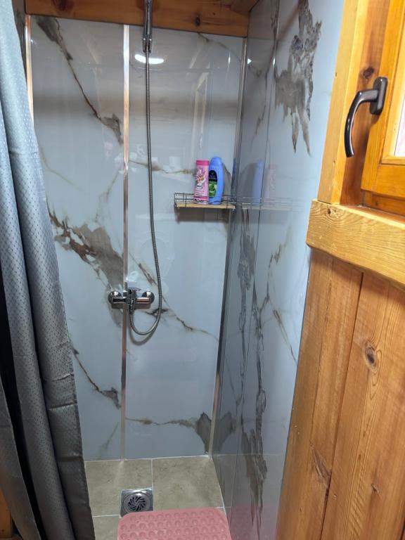 Cottage Bumblebee - 13