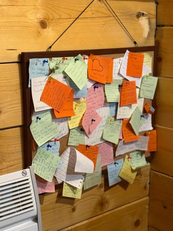 Cottage Bumblebee - 11