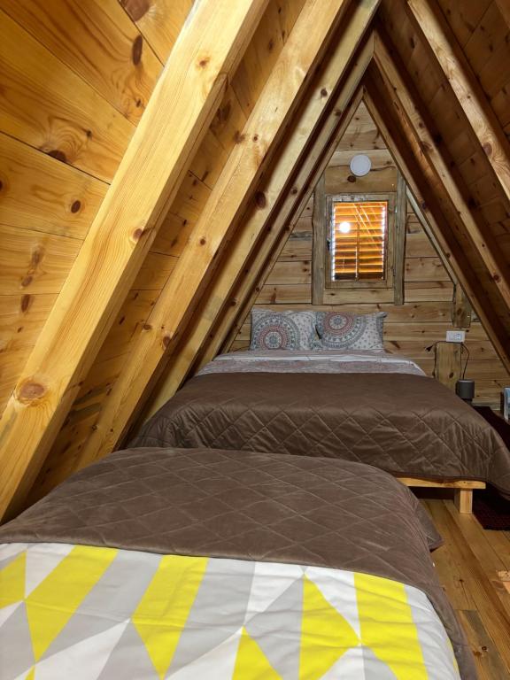 Cottage Bumblebee - 1