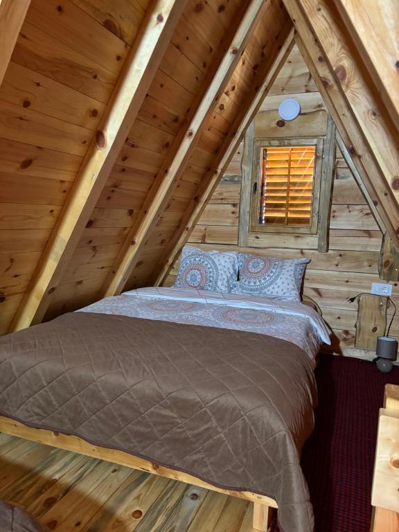 Cottage Bumblebee - 5