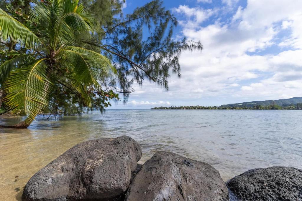 Temenino Pihiti Secluded Bungalow - photo 4 - Tahiti, Polynésie