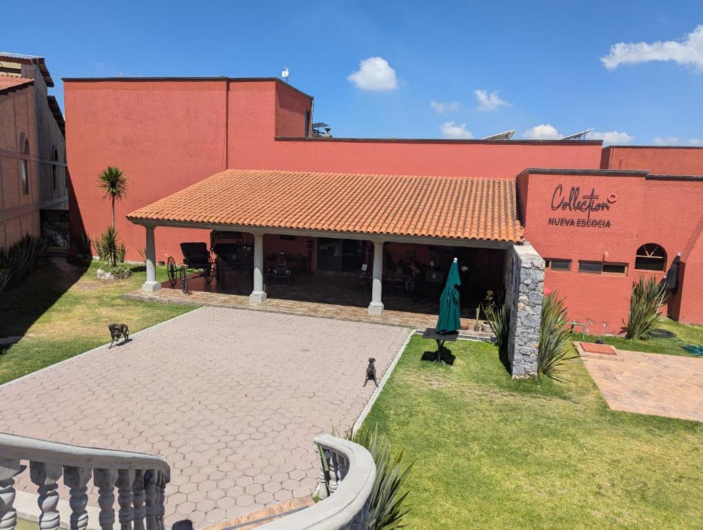 Un restaurante con dos gatos parados afuera de un edificio. en Hotel Boutique Nueva Escocia, en Santo Tomás Chautla
