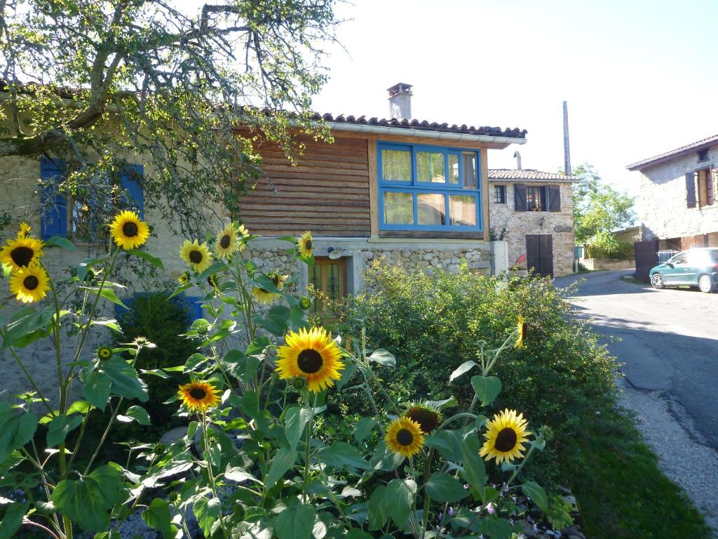 a field of sunflowers in front of a house at Gite Sent Martin in Roquefixade