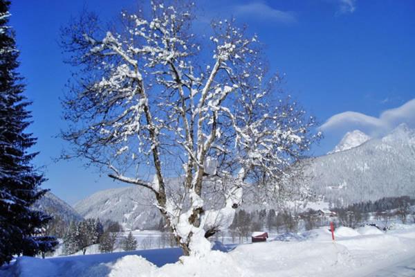 Hotel Stockerwirt during the winter