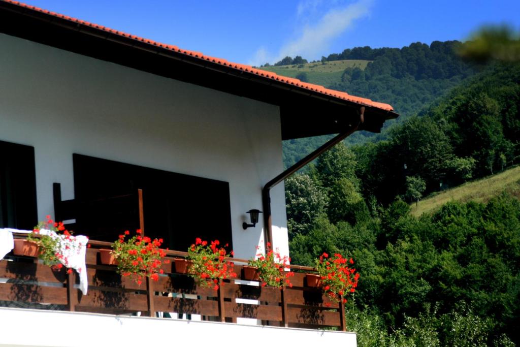 einen Balkon mit roten Blumen auf einem Haus in der Unterkunft Spa Hotel Planinata in Ribarica