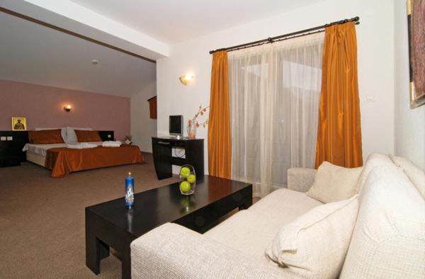 sala de estar con sofá y cama en Spa Hotel Planinata en Ribarica