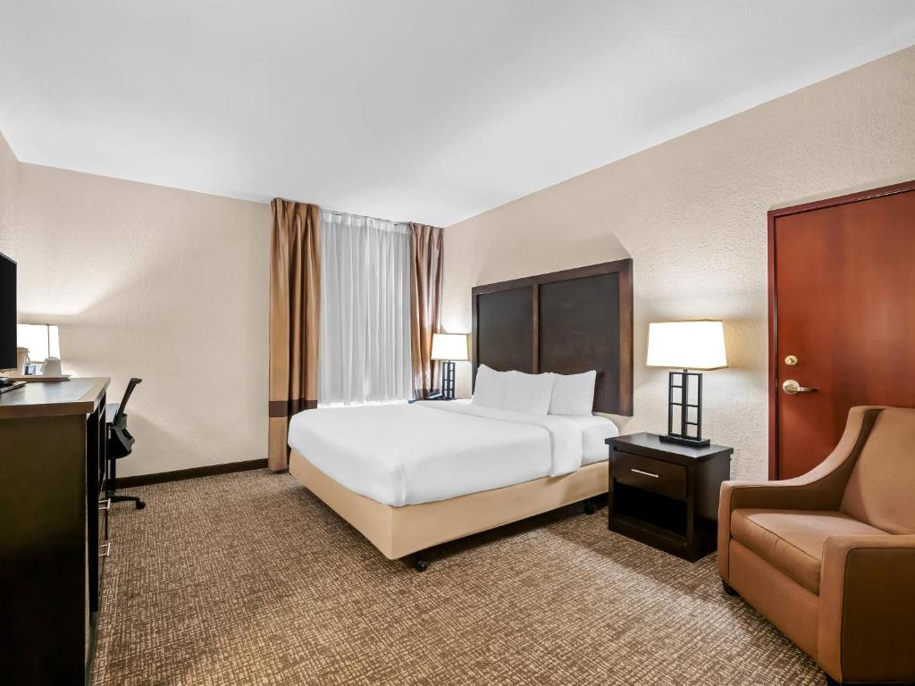 Comfort Inn & Suites Allen Park - Dearborn - 
