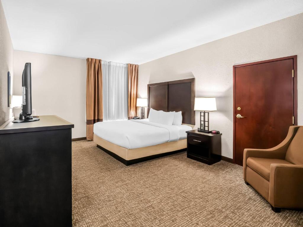 Comfort Inn & Suites Allen Park - Dearborn - 