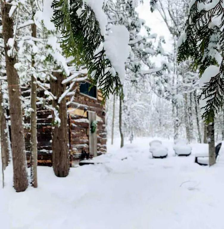 View of Off grid in an apartment? : r/preppers - Reddit