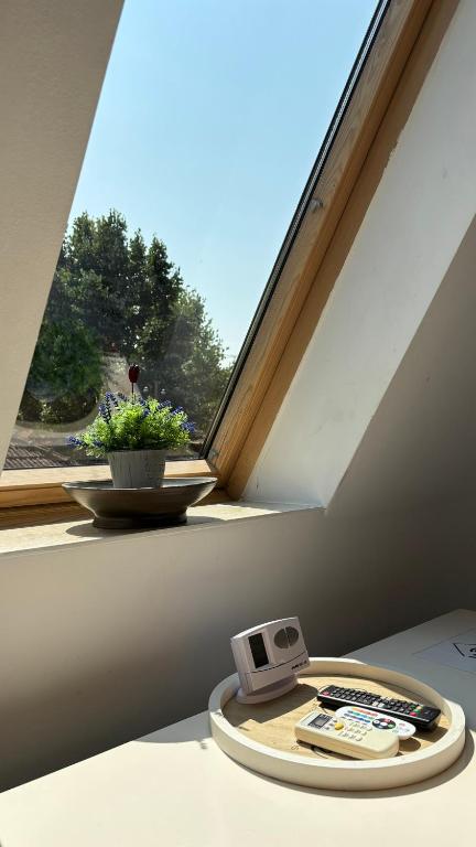 Pannónia Rooms and Apartments - Resim 41