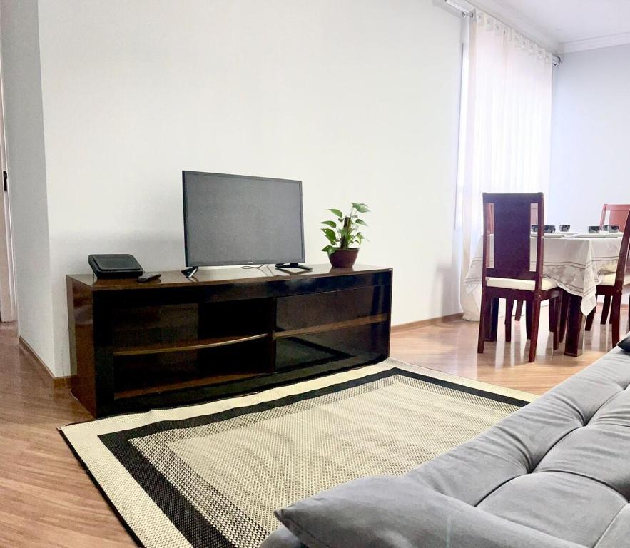 サン・ジョゼ・ドス・カンポスにあるApartamento em frente Shopping Colinasのソファと薄型テレビのあるリビングルーム
