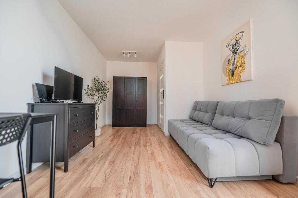 Μια τηλεόραση ή/και κέντρο ψυχαγωγίας στο Apartamenty Gliniana