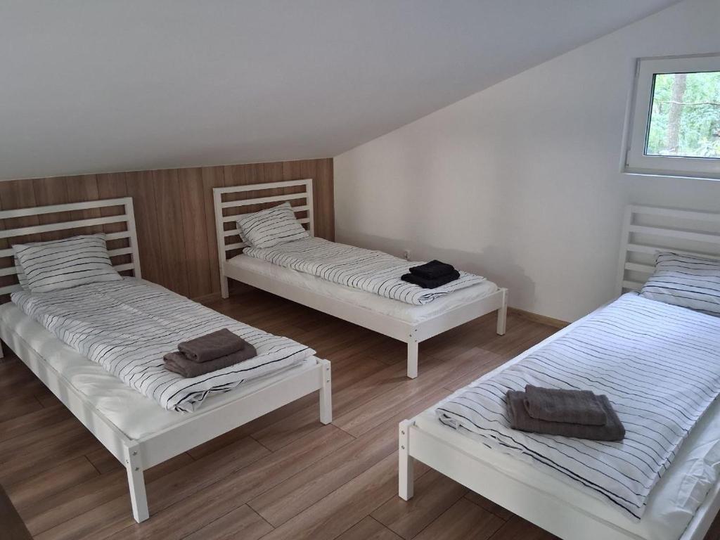 Bizon Village - Vakantiehuis