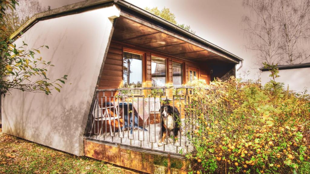 Ferienpark am Hellsee - Bungalow