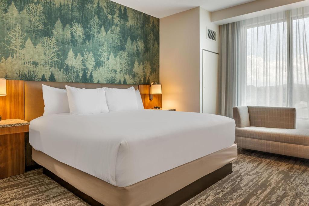 Drury Plaza Hotel Pigeon Forge photo