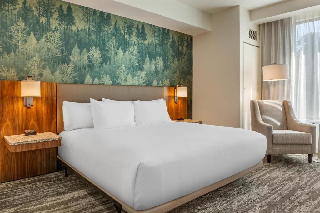 Drury Plaza Hotel Pigeon Forge photo