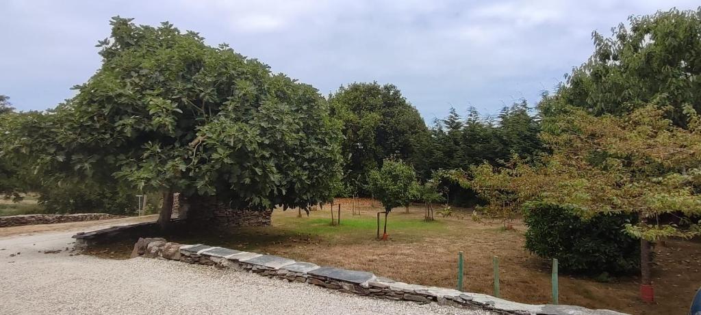 Φυσικό τοπίο κοντά σε αυτή η παραθεριστική κατοικία