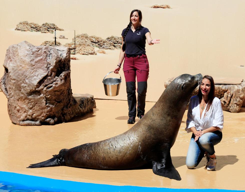 Four Points by Sheraton Costa Blanca Resort - Resim 19