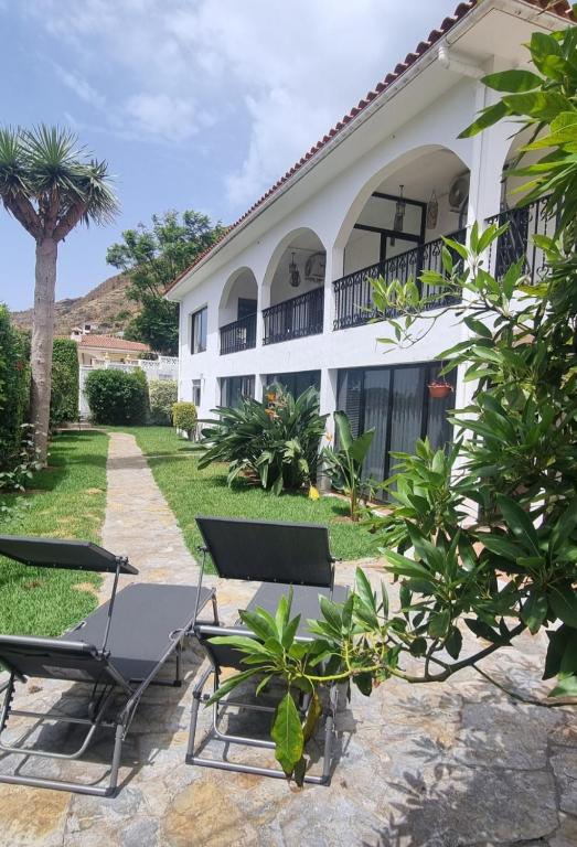 a white building with chairs and a palm tree at La Casa de Lucy & Karin in La Orotava