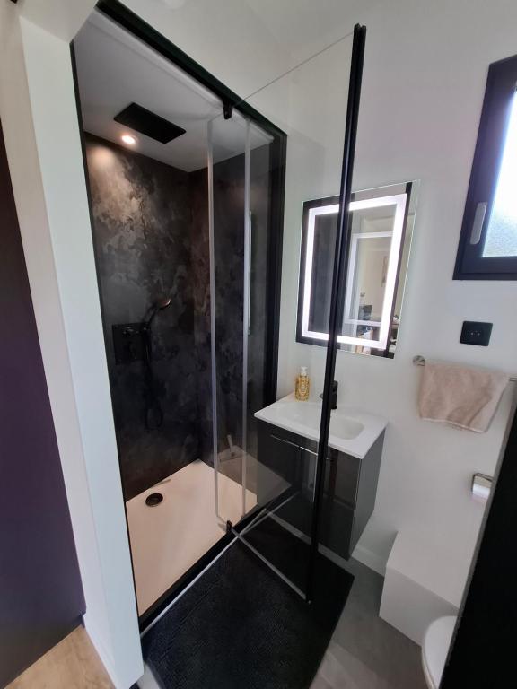 a bathroom with a shower and a sink at Studio à la campagne in Plancher-Bas