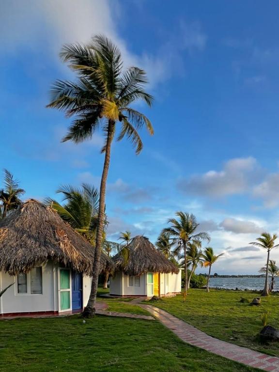 a house with a palm tree next to the ocean at Punta Manzanillo in San Bernardo del Viento