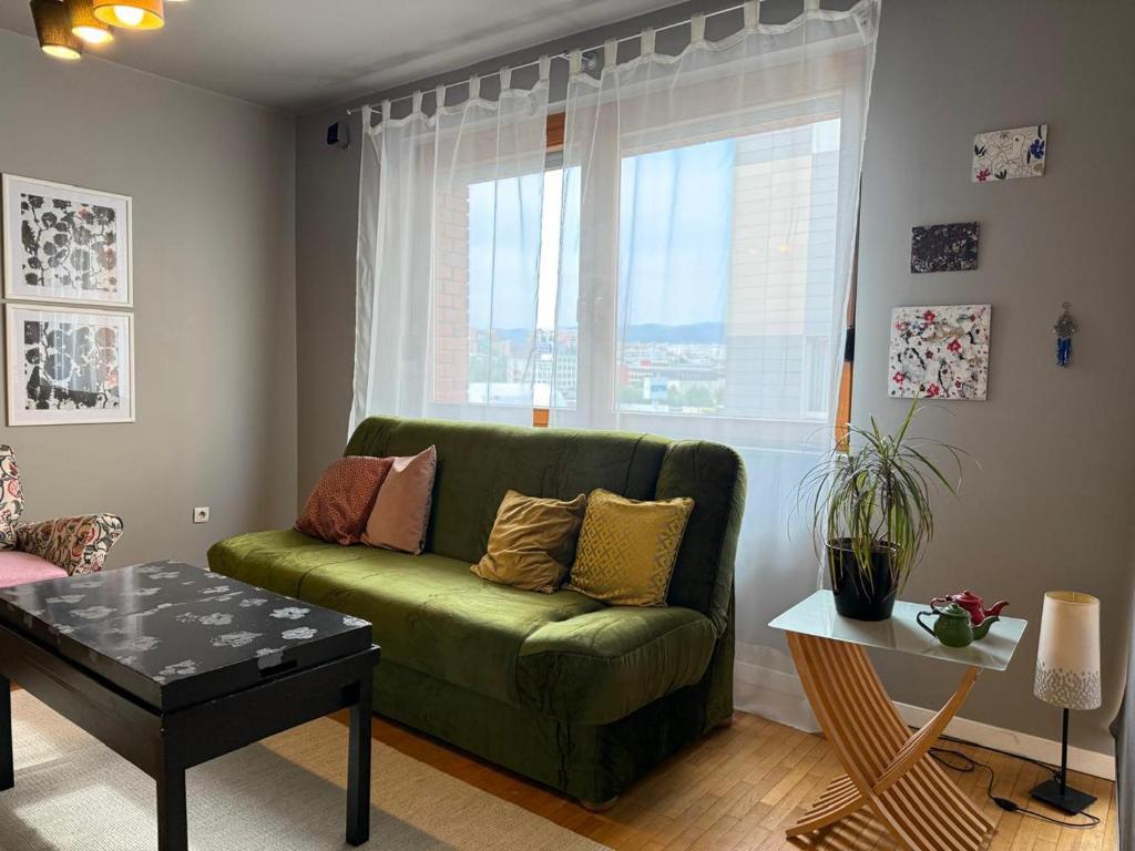普里什蒂纳Artist's Apartment in Prishtina的客厅设有绿色沙发和窗户。