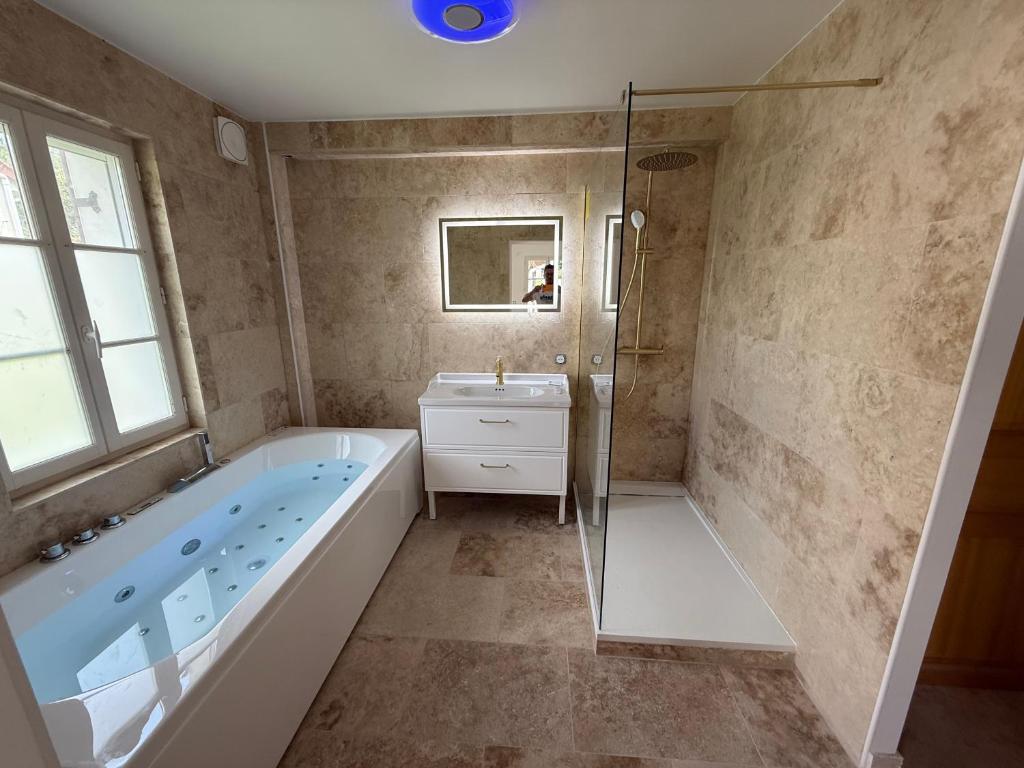 Un baño con bañera, lavabo y ducha. en la vallée du paradis studio avec balnéothérapie en campagne, en Alette