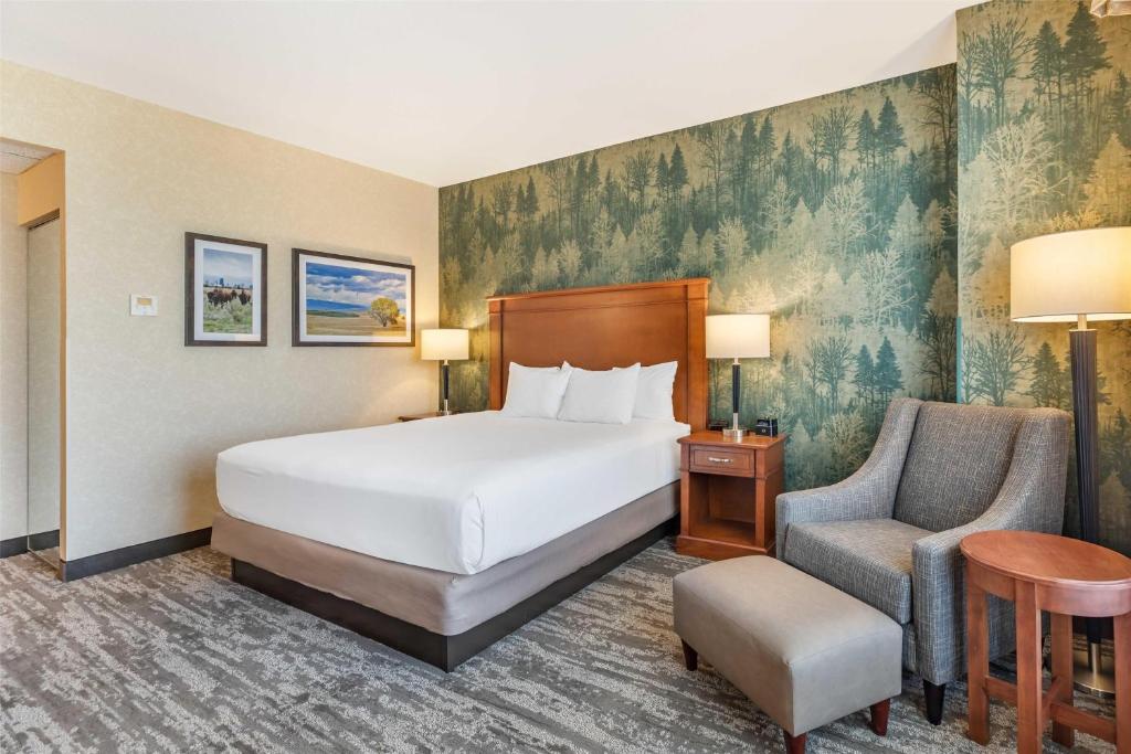 Drury Plaza Hotel Denver Central Park - Habitación Deluxe Con Cama Extragrande