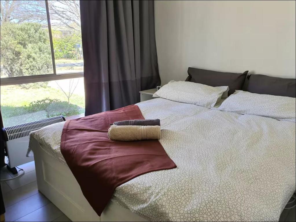 a bedroom with a bed with a window and a pillow at Dana-Large Room in a Shared House-Close to City & ANU-1 in Downer