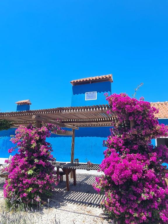 CasAzul Slow Stay in Nature, Bicas (updated prices 2026)