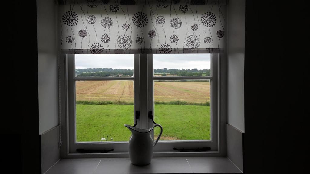 a vase sitting in a window looking out at a field at Kilsham Farm in Petworth