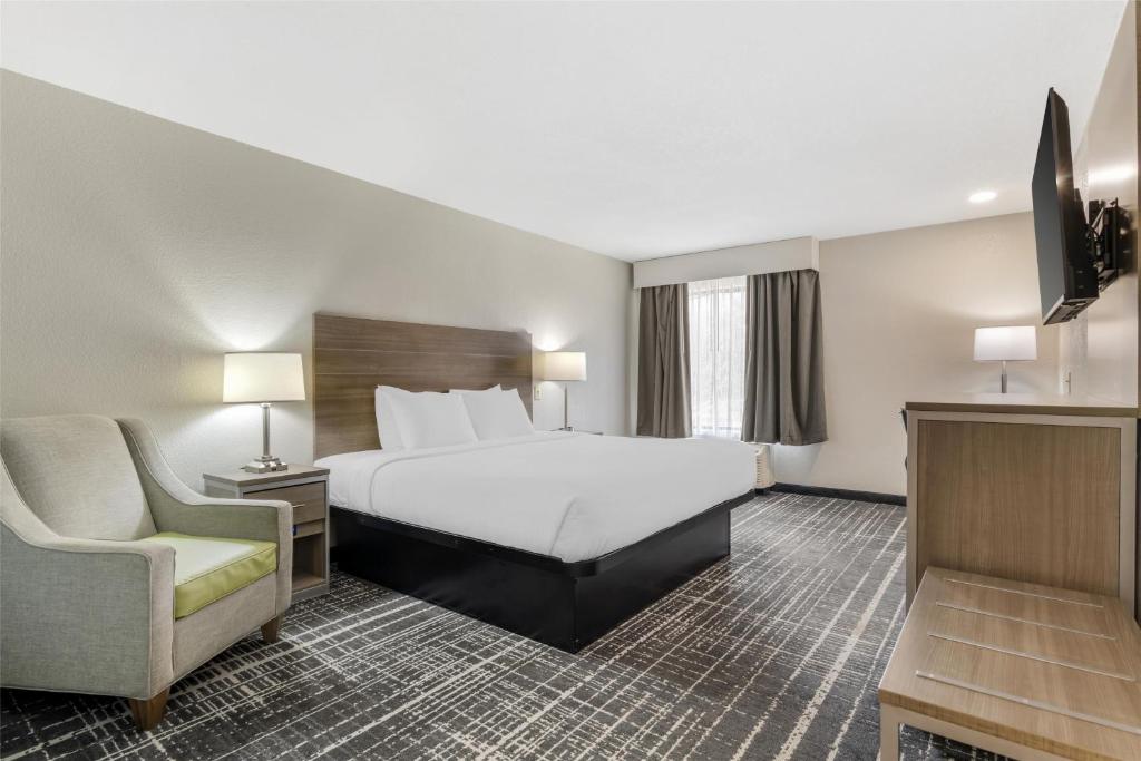 Best Western Commerce Inn - Camera King Con Cabina Doccia - Accesso Disabili