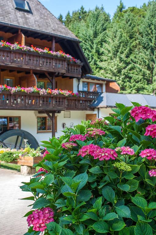 Zahrada ubytování Hotel Tannenmühle