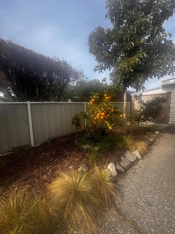 Walk to wineries - Modern retreat - Resim 6