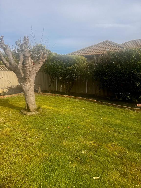 Walk to wineries - Modern retreat - Resim 28