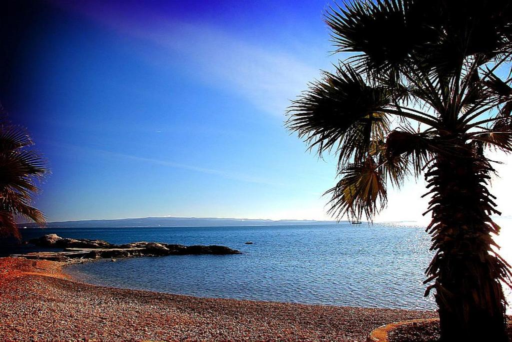 a palm tree on a beach next to the water at Luxury Seaside Apartment in Split