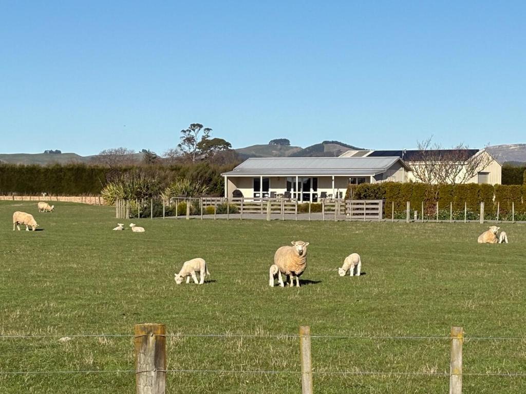 Havelock Cottage - Pukeko Nest - Resim 12