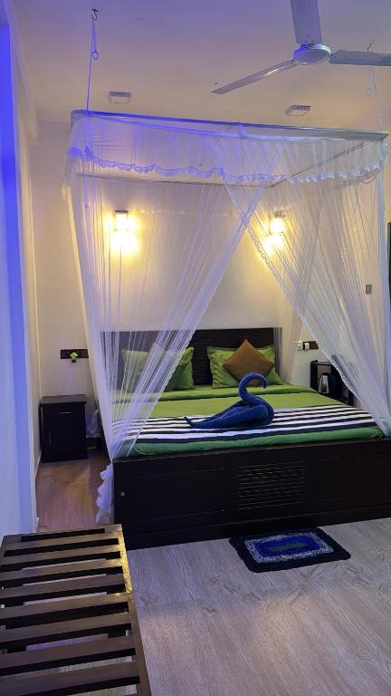 Ella Hillsite View - 19