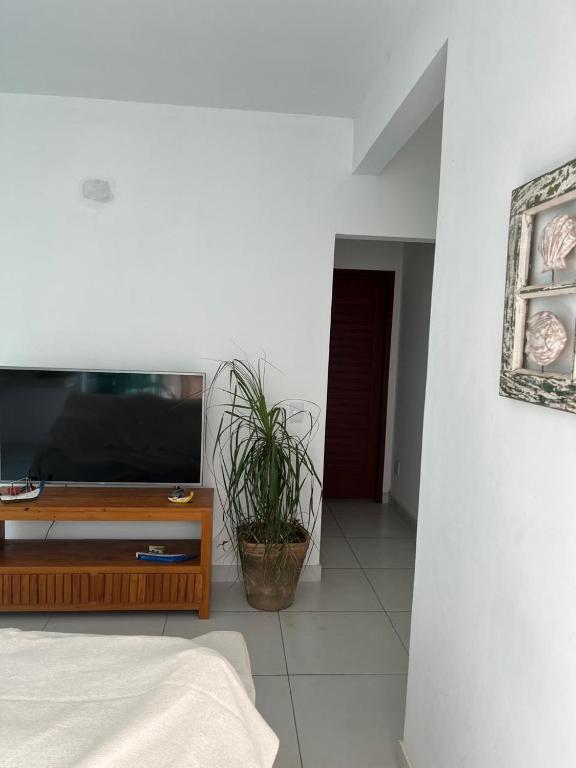 a living room with a television and a plant at Apartamento Paraiso Búzios l in Búzios