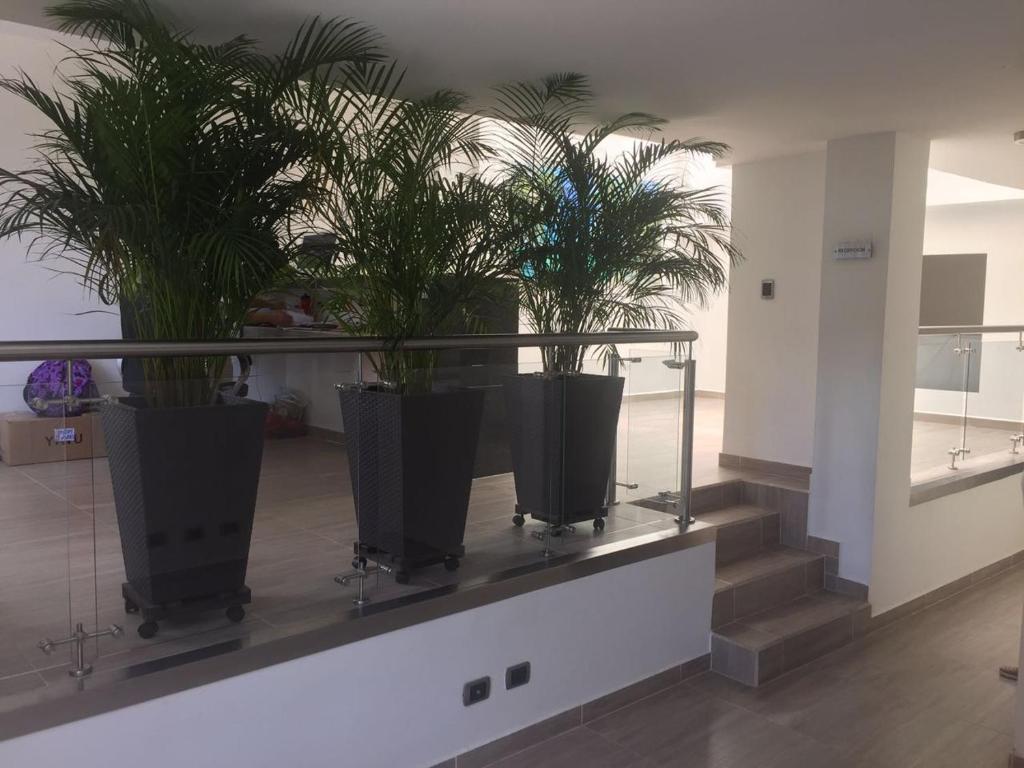 Fotografie z fotogalerie ubytování Hotel Jardin de Laureles Jeps v destinaci Medellín