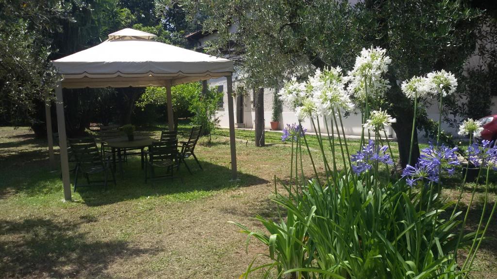 ヴェッレトリにあるPiccola Volpeの庭園の傘下のテーブルと椅子