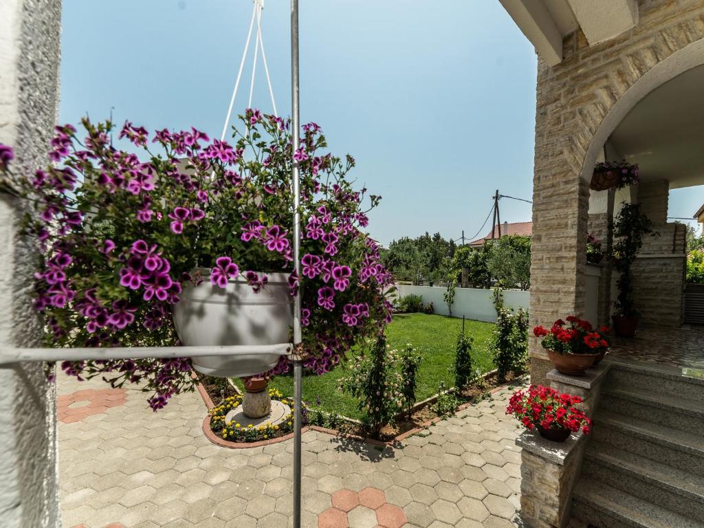 Zahrada ubytování Apartments Dalmatia