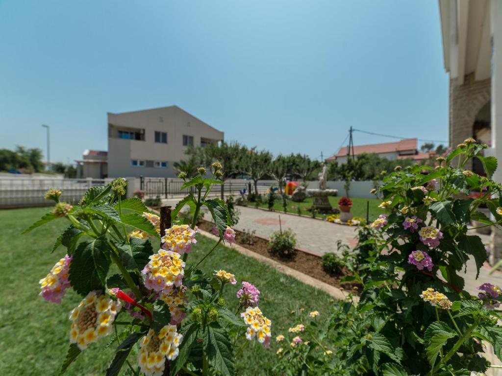 Zahrada ubytování Apartments Dalmatia