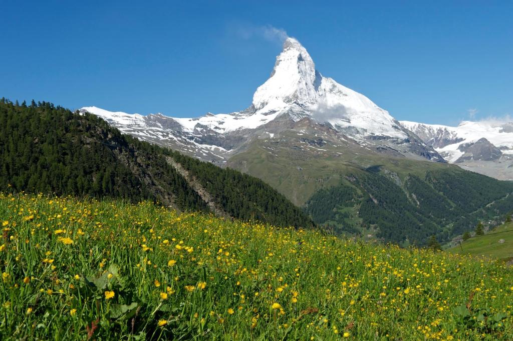 Hotel Garni Testa Grigia - Resim 37