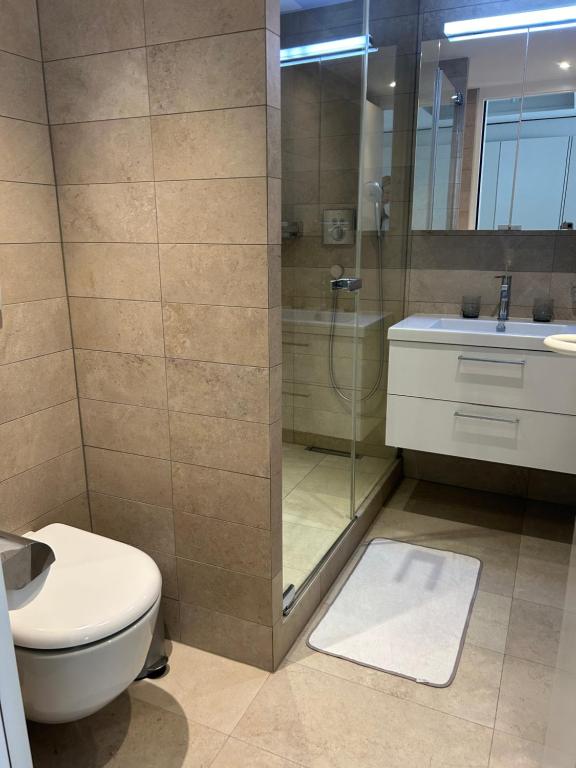 Central Charm Apartment, Geneva City Center - Resim 2