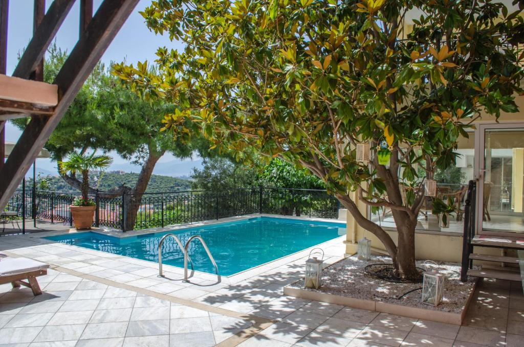 a swimming pool with a tree next to a house at Apartments Nina in Athens