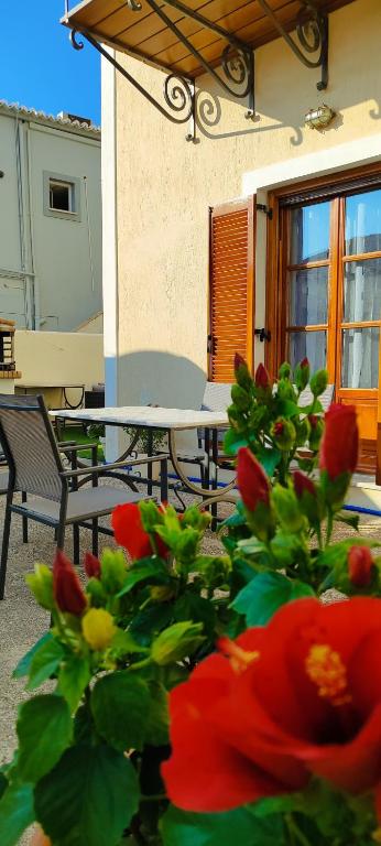 斯派赛斯GDE Spetses 3BR apartment1的天井配有桌子和鲜花植物