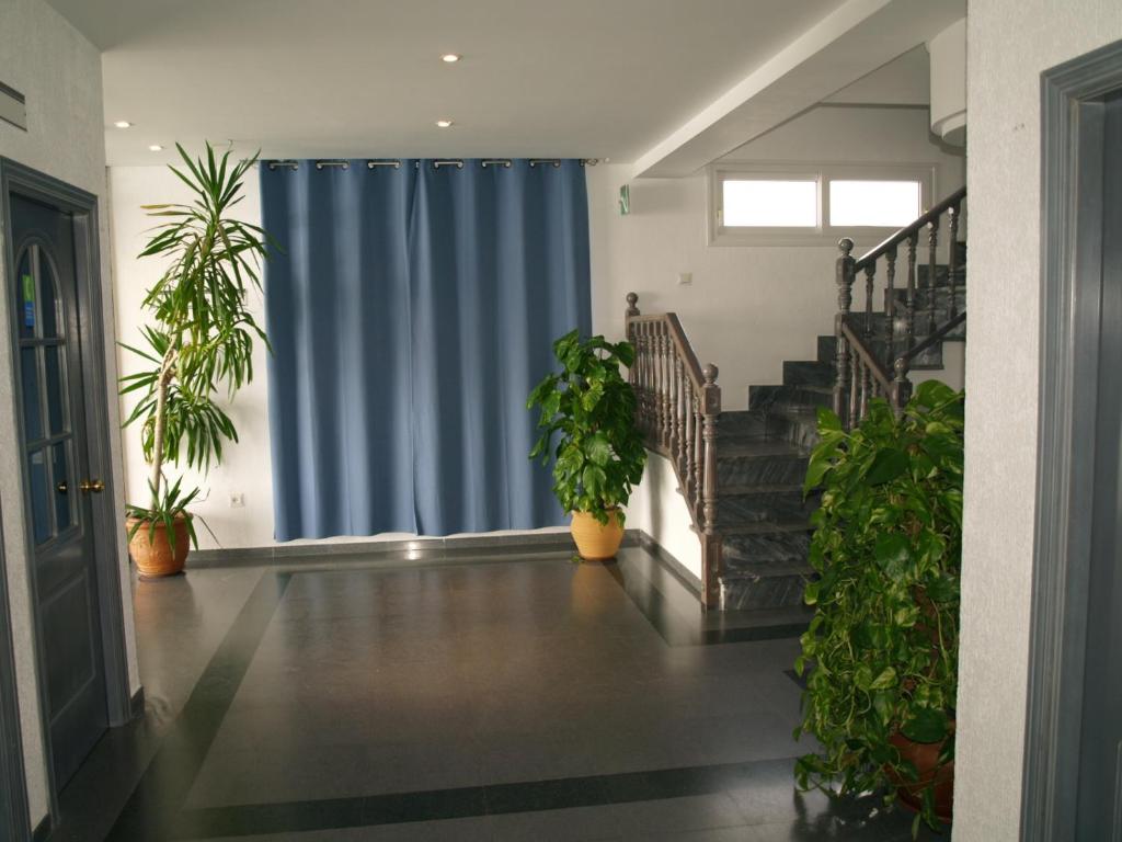 a hallway with potted plants and a blue curtain at Hotel San Jorge in Alcalá de los Gazules